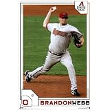 (24x36) Arizona Diamondbacks (Brandon Webb) Sports Poster Print