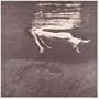 Undercurrent