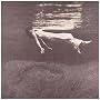 Undercurrent ~ Bill Evans