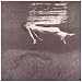 Undercurrent Image of Undercurrent