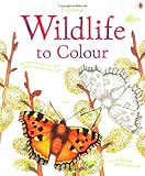 Wildlife to colour