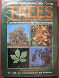 Collins photographic key to the trees of Britain and Northern Europe