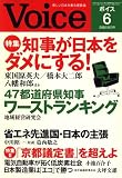 Voice (�{�C�X) 2008�N 06���� [�G��]