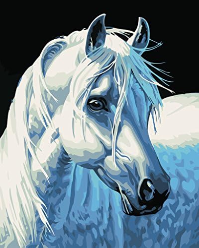 DIY Fans® New Paint by Number Kits for Adults Kids - White Horse 16x20 inch Linen Canvas without Wooden Frame