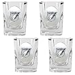 Tampa Bay Lightning NHL 4pc Square Shot Glass Set