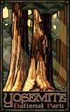 Northwest Art Mall Yosemite National Park Sequoia Artwork by Paul A Lanquist, 11-Inch by 17-Inch