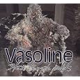 VASOLINE CD EUROPEAN ATLANTIC 1994 by Stone Temple Pilots