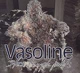 VASOLINE CD EUROPEAN ATLANTIC 1994