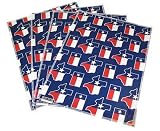 Lone Star TEXAS FLAG 4 Pc Placemat Set Limited Edition Place Mats for Dinner, Kitchen or Tailgating GIFT IDEA for Mom Mother Him Her
