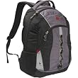 SwissGear Travel Gear 2 Pocket School Backpack