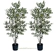 TWO Pre-Potted 5' Artificial Variegated Birch Trees, 3 Iris Stems Free with Purchase (retail price $23.07)
