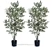 TWO Pre-potted 5' Artificial Variegated Birch Trees