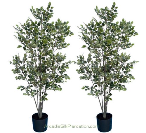 TWO Pre-Potted 5′ Artificial Variegated Birch Trees