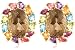 Search : 14k Yellow Gold Plated Sterling Silver Smoky Quartz Oval with Pear-Shaped Multi-Gemstone Earrings