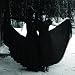Austra-Beat & the Pulse cd cover