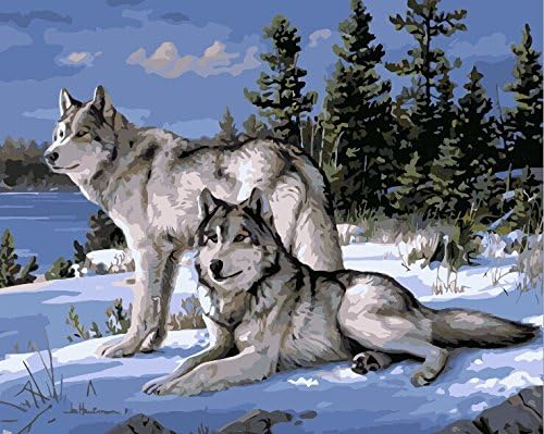 DIY Fans® New Paint by Number Kits for Adults Kids - Wolf 16x20 inch Linen Canvas without Wooden Frame