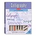 Calligraphy Kit: Learn the Art of Beautiful Writing