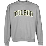 NCAA Toledo Rockets Arch Applique Crew Neck Fleece Sweatshirt - Ash