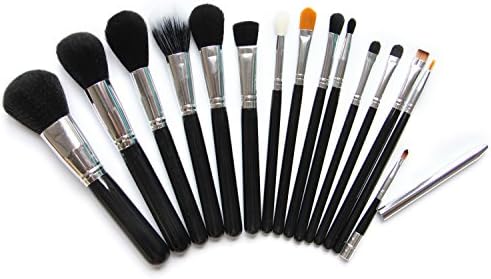 Cool7 Makeup Brush Set, 15PC Luxury Powder Foundation Concealer Eyeshadow Lip Brush Set for U (Silver)