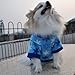 WXBUY Pet Dogs Fleece Fur Coat Clothes Puppy T-shirts Blue S