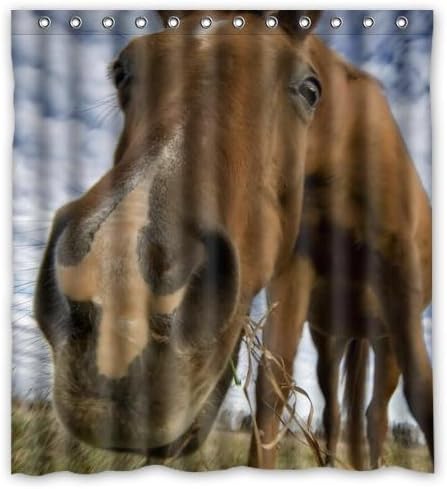 Hello cute horse Waterproof Bathroom Fabric Shower Curtain,Bathroom decor 66" x 72"