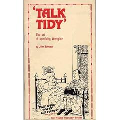 Talk Tidy - the Art of Speaking Wenglish