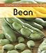 Broad Bean (Life Cycle of A...(Heinemann Paperback))