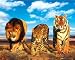 Wild Cats (Lion, Jaguar, Tiger) Art Poster Print - 16" X 26"