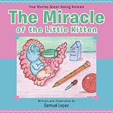 TheMiracleoftheLittleKitten