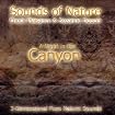 A NIGHT IN THE CANYON (Sounds of Nature Series)