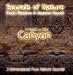 A NIGHT IN THE CANYON (Sounds of Nature Series)