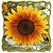Autumn Beauty (Helianthus annuus variation) Jumbo Wildflower Seed Packet - 200 Seeds