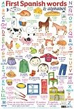 Mini Poster Childrens Educational Learn The Alphabet and First Spanish Worlds Language 40x60cm