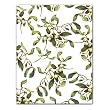 Mistletoe - Gift Enclosure Cards (set of 12)