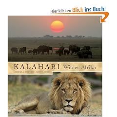 Kalahari - wildes Afrika