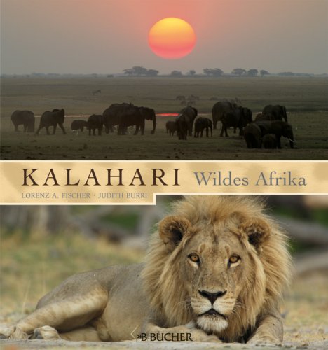 City Travel Guides Discounted  Livres : Kalahari Ã¯Â¿Â½ wildes Afrika