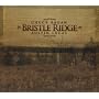Bristle Ridge