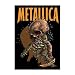Metallica - Pinskull Postcard