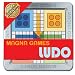 Magna Games Ludo Magnetic Travel Game