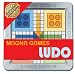 Magna Game Ludo