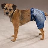 SMALL - Denim Dog Shorts
