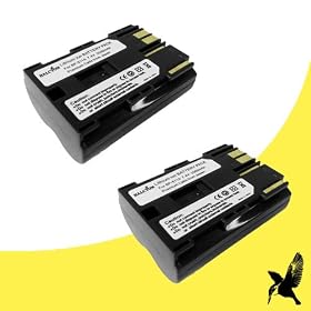 Two Halcyon 2000 mAH Lithium Ion Replacement Battery for Canon EOS 5D 12.8MP Digital SLR Camera and Canon BP-511