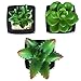 MyGift Set of 3 Modern Square Black Ceramic Artificial Succulent Planter/Mini Faux Potted Plants