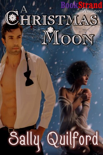 A Christmas Moon (BookStrand Publishing Romance)