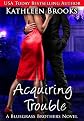 Acquiring Trouble: A Bluegrass Brothers Novel (Volume 3)
