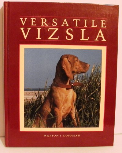 Versatile Vizsla