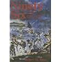 Ninety Six: The Struggle for the South Carolina Back Country