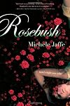 Rosebush