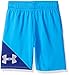 Under Armour Boys' Prototype Short