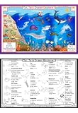 Ocean Explorer Activity Placemat by Tot Talk